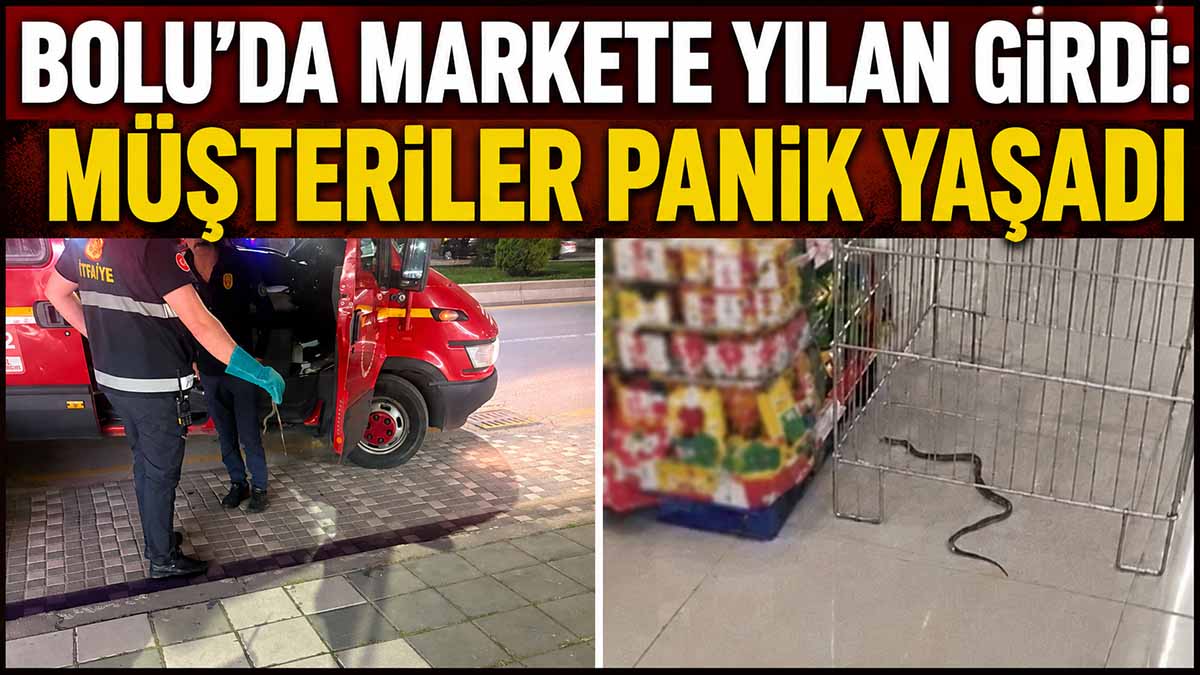Bolu Yılan