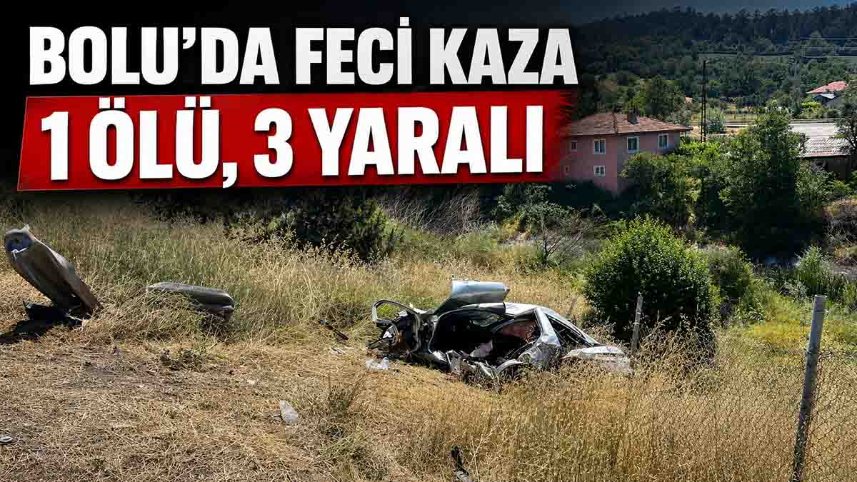 Bolu'da Otomobil Şarampole Devrildi