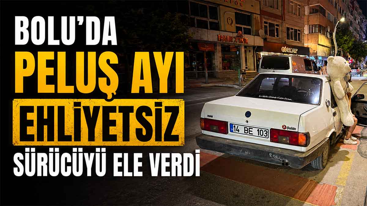 Bolu'da Peluş Ayı