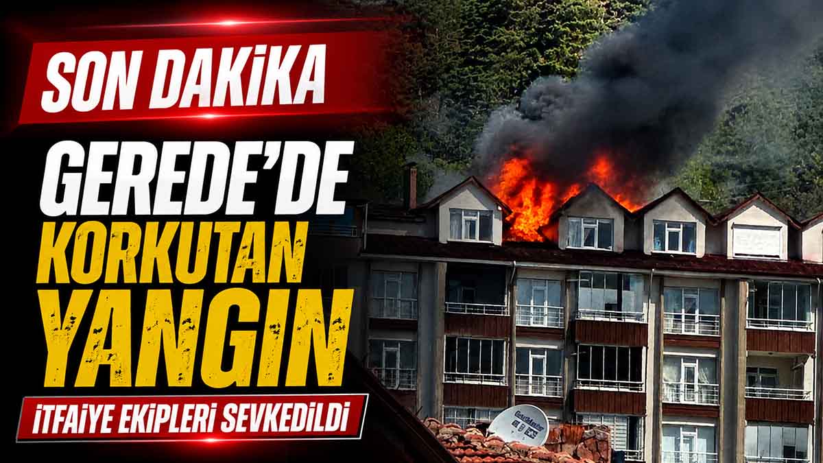 Gerede'de Yangın