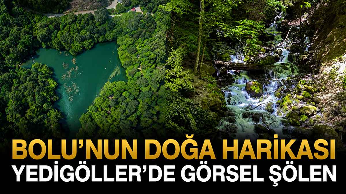 Yedigöller Görsel Şölen