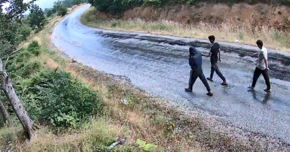 ankara kahramankazanda suc ormani fotokapanlar ile 1847 sahis yakalandi Mp7UbhTu.jpg