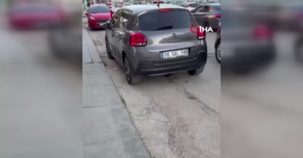 ankara sincanda fare panigi YJiVPmjK.jpg
