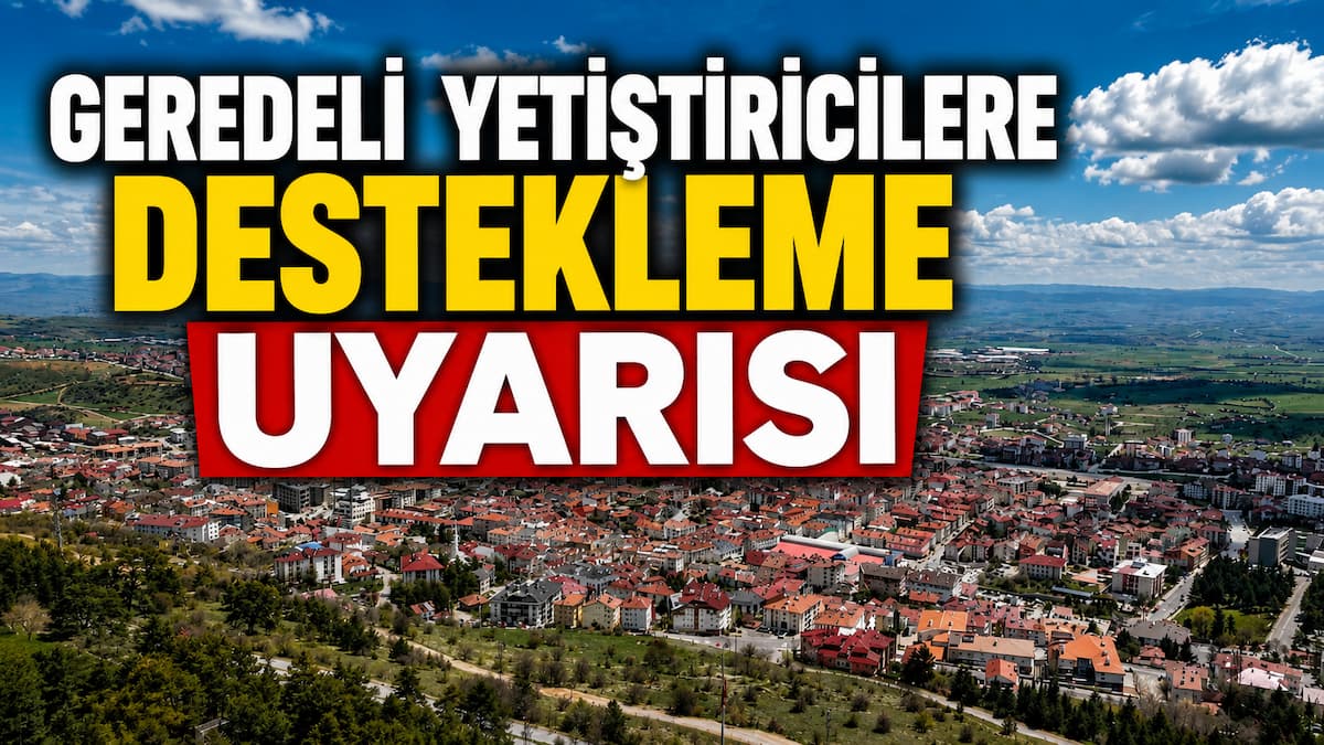 destekleme
