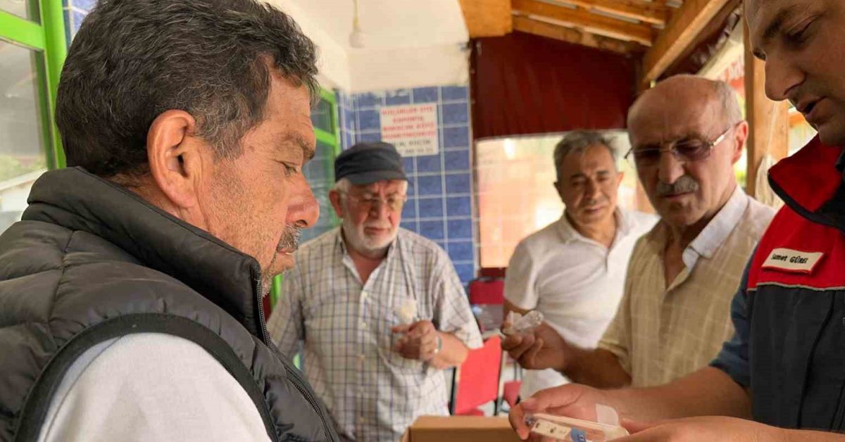 duzce kaynaslida samuray arilari dogaya salindi aeNRHC34.jpg