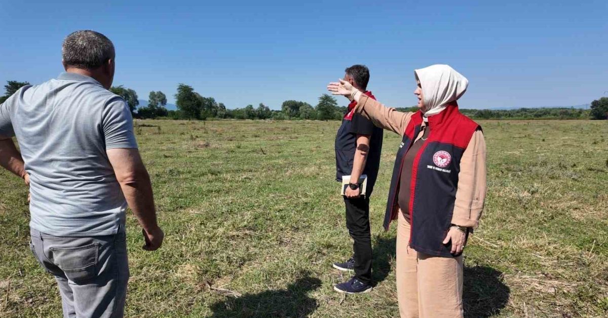 duzcenin meralari islah ediliyor YCcgEP4A.jpg