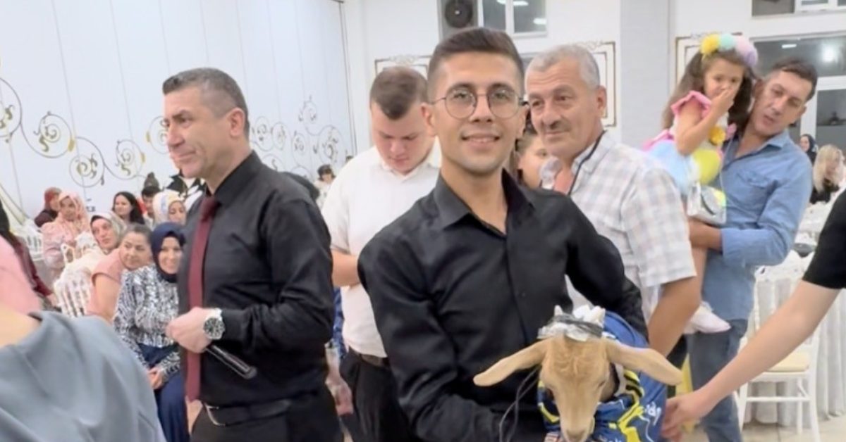 eskisehirde dugunde kuzulu surpriz ilgi cekti ZjmynF7a.jpg
