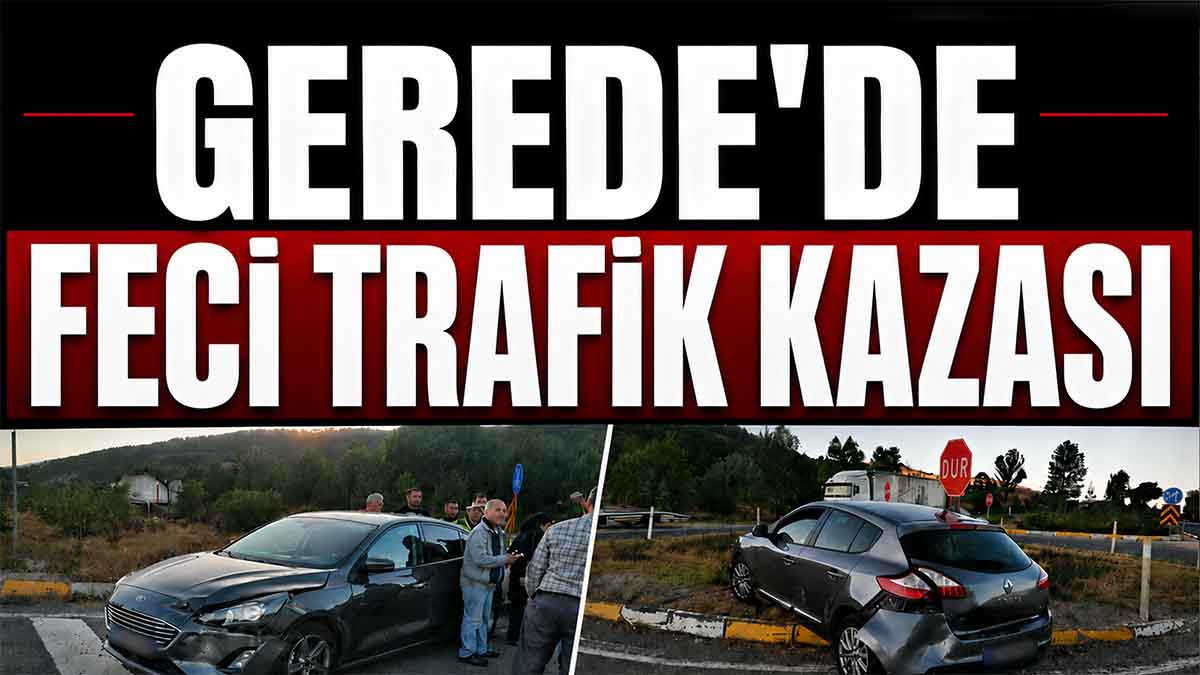 gerede kaza 4