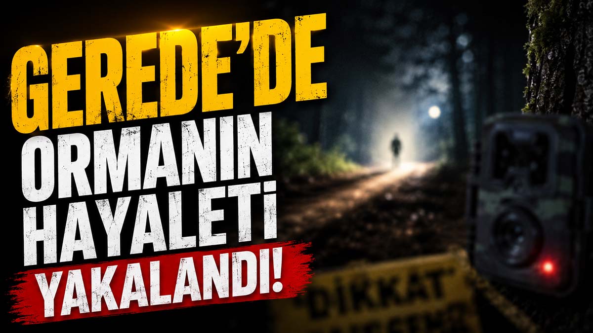 gerede ormanın hayaleti