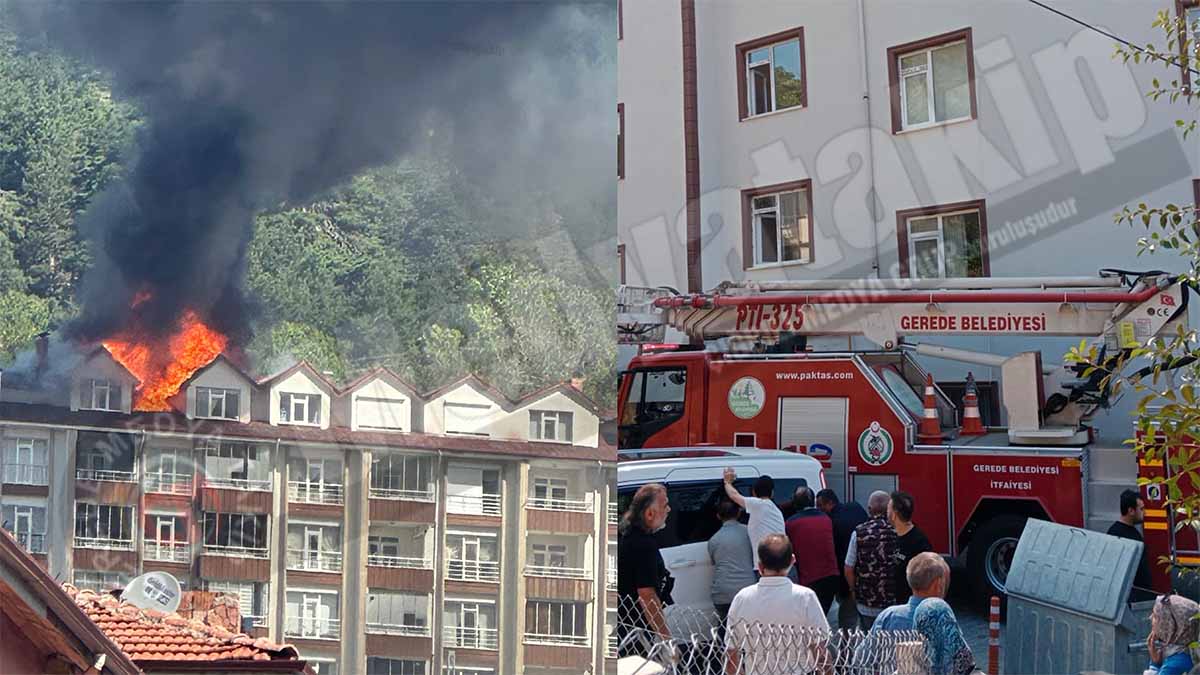 gerede yangın