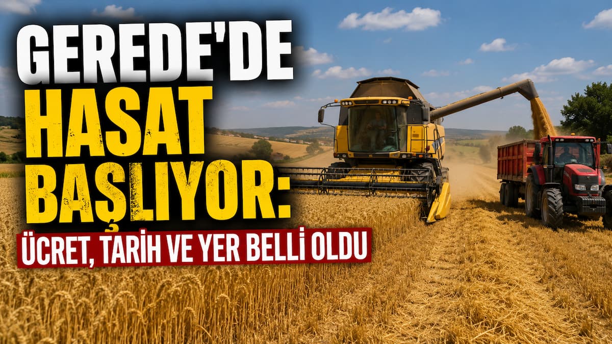 hasat