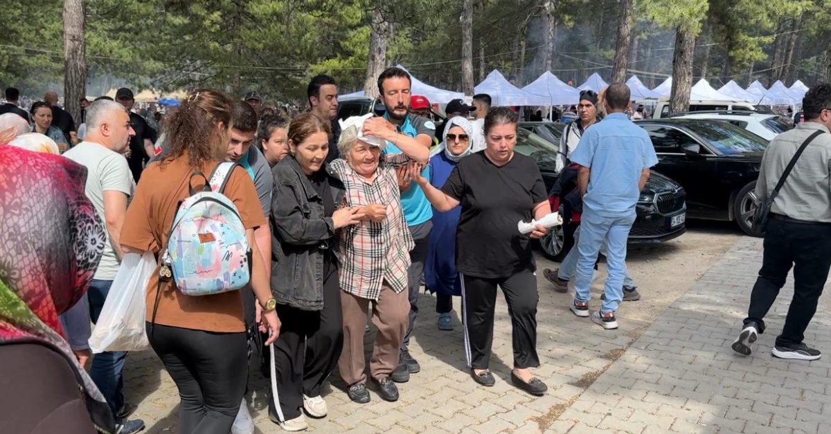 karabukteki senlikte dusen dal yasli kadini yaraladi bWyLXd3z.jpg