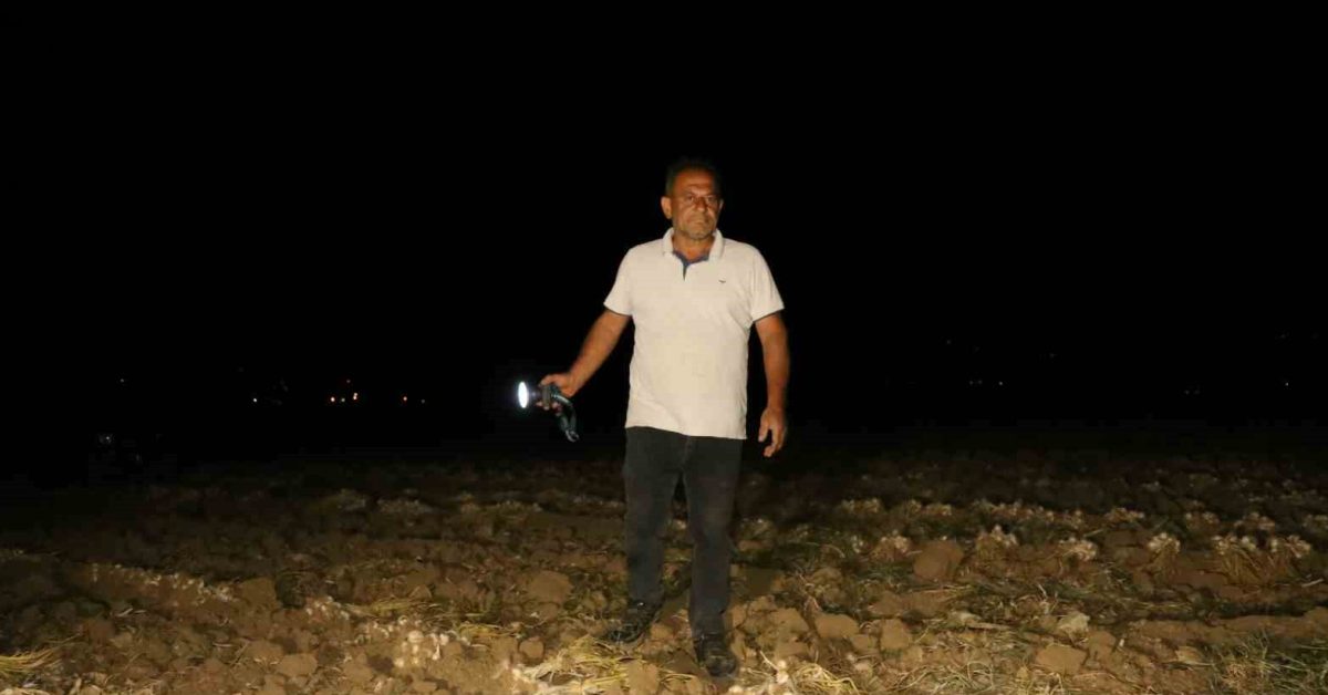 kastamonu taskoprude ciftciler hirsizlara karsi nobet tutuyor D19RvKlS.jpg