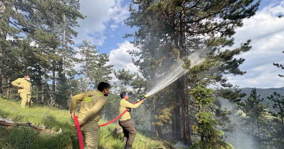 kastamonu tosyada orman yangini r8nzyODB.jpg