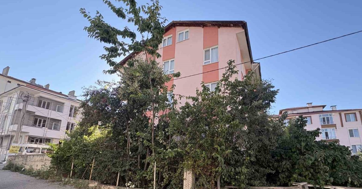 kastamonuda ihlamur toplayan emekli ogretmen agactan duserek yaralandi r2Nt3H4v.jpg