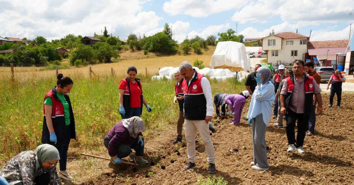 kastamonuda ucretsiz dagitiliyor 2a4NHDyp.jpg