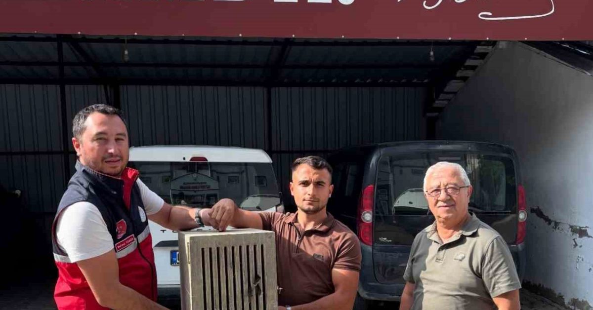 kastamonuda yarali leylek koruma altina alindi qvb9ebZE.jpg