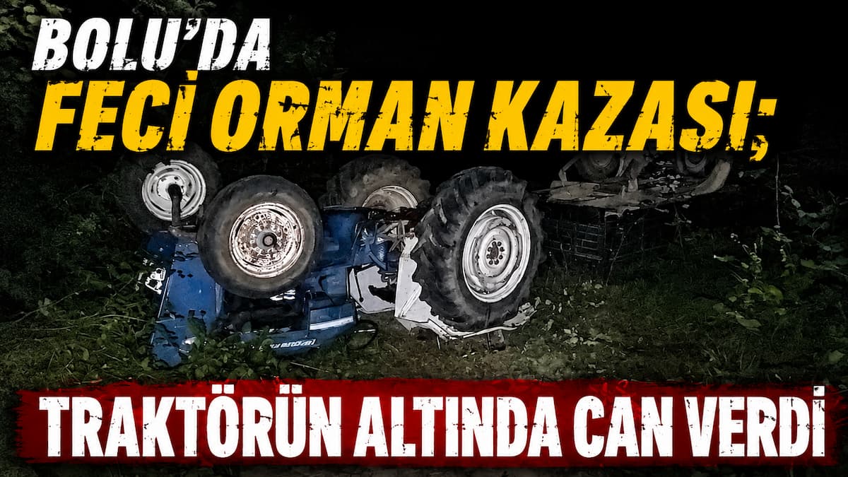 kaza