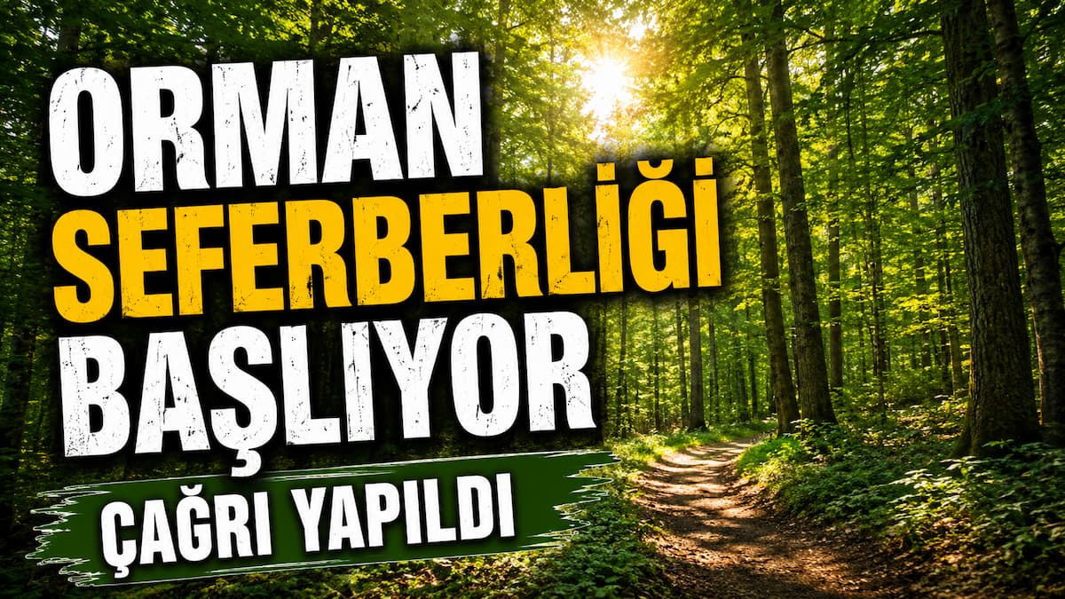orman