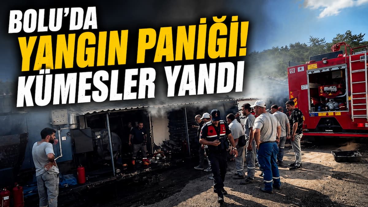 yangın (4)
