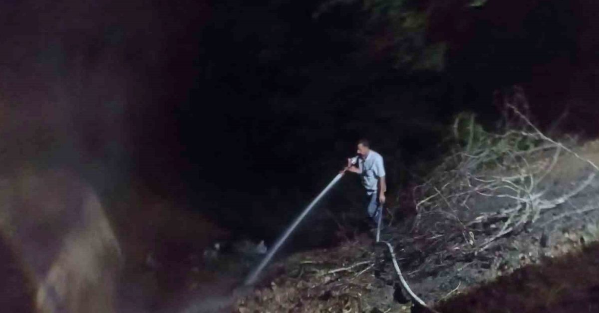 zonguldak alaplida korkutan otluk yangini I4rsXzuk.jpg