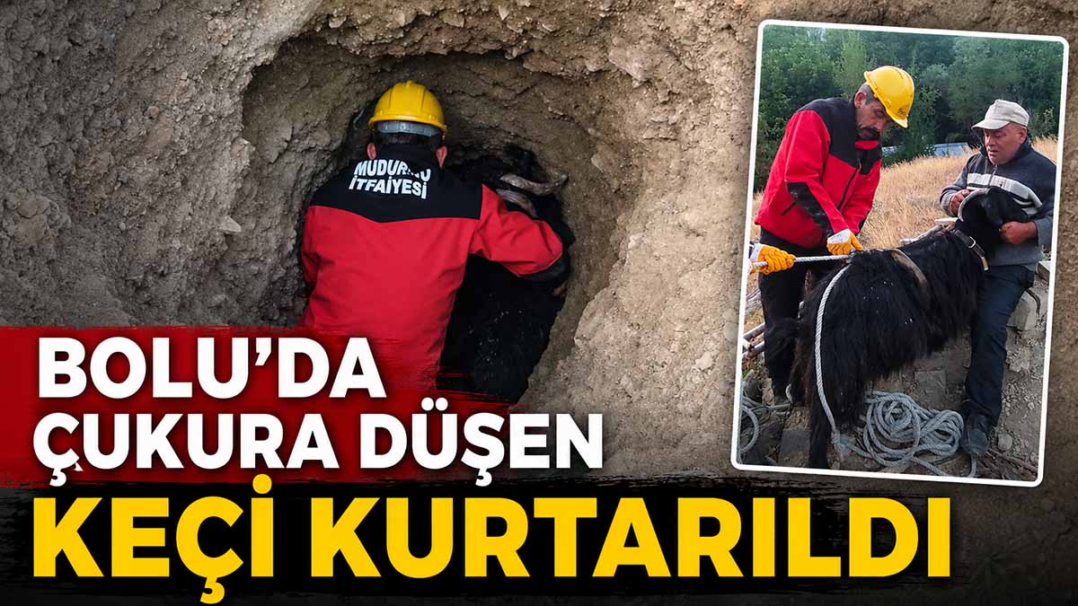Bolu'da Çukura Düşen Keçi Kurtarıldı