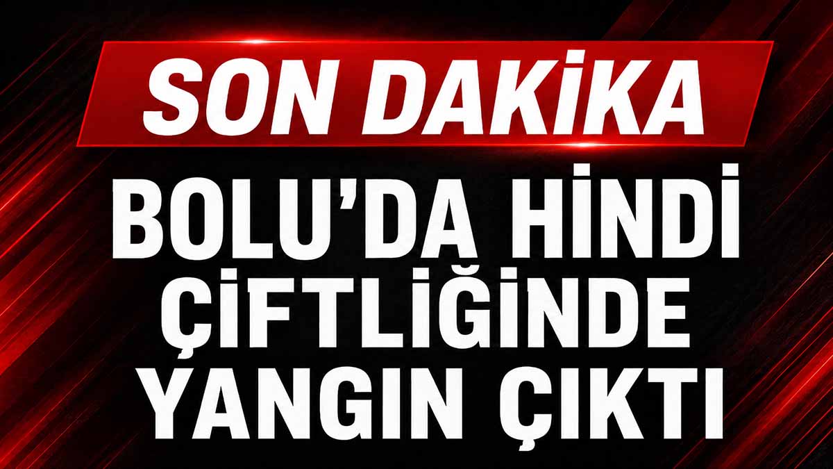 Bolu'da Hindi Çiftliğinde Yangın Paniği