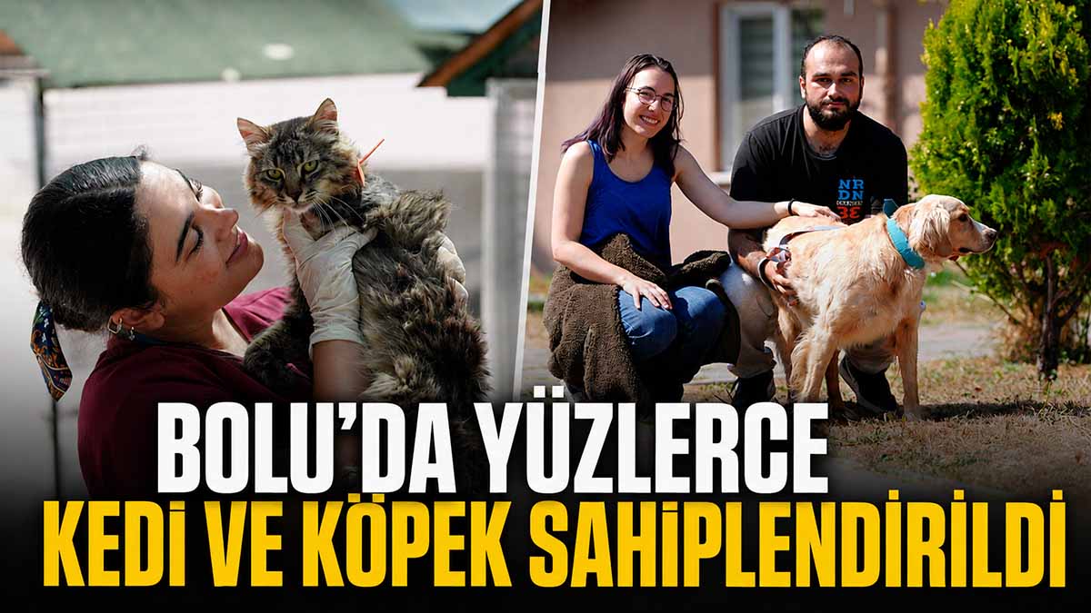 Bolu’da Yüzlerce Kedi ve Köpek Sahiplendirildi