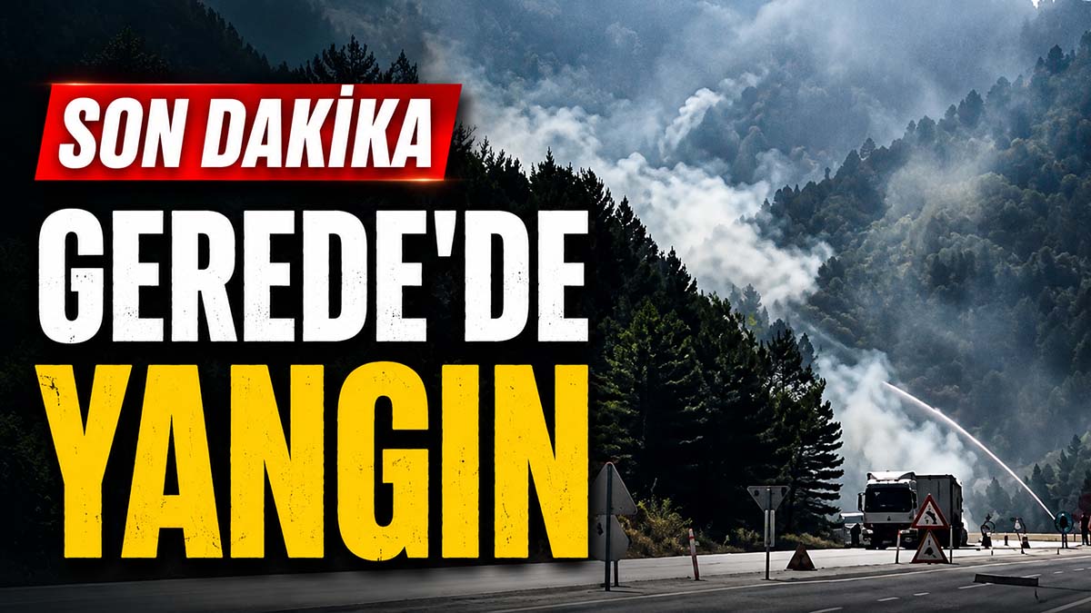 GEREDE YANGIN