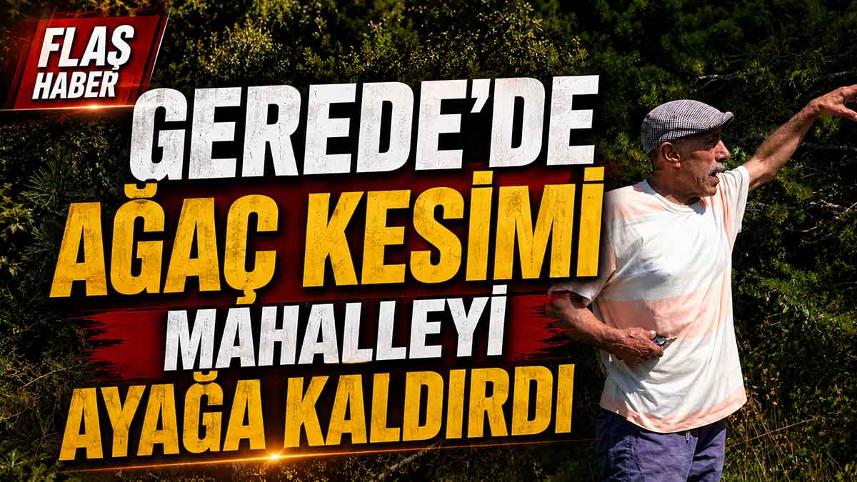 Gerede’de Ağaç Kesimi Mahalleyi Ayağa Kaldırdı