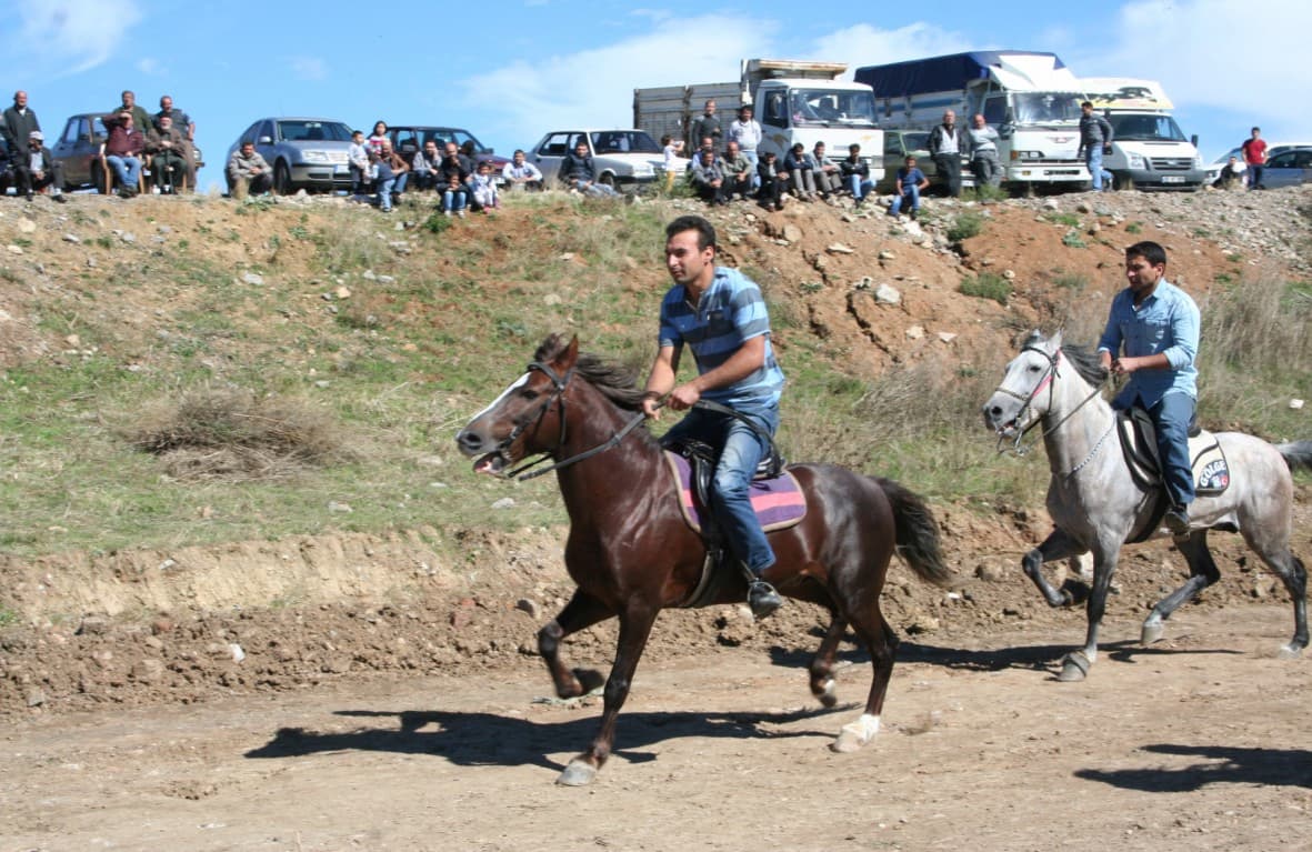 Rahvan at yarışları