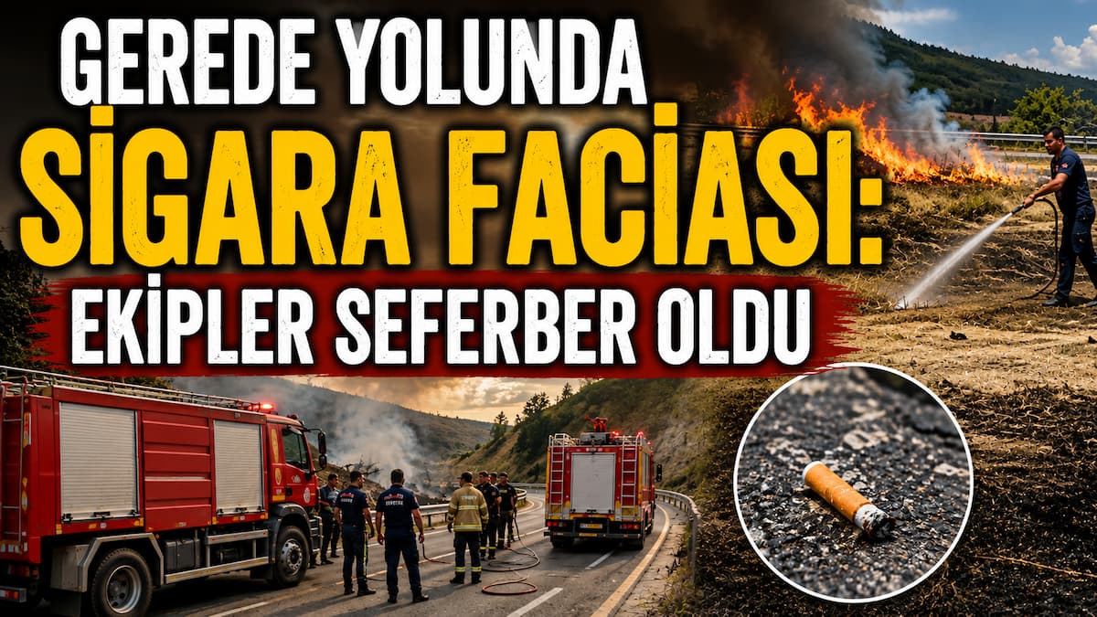 anız