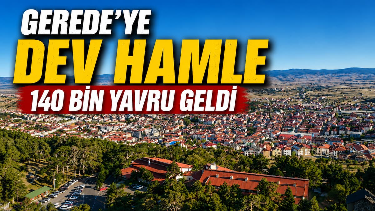 balık1