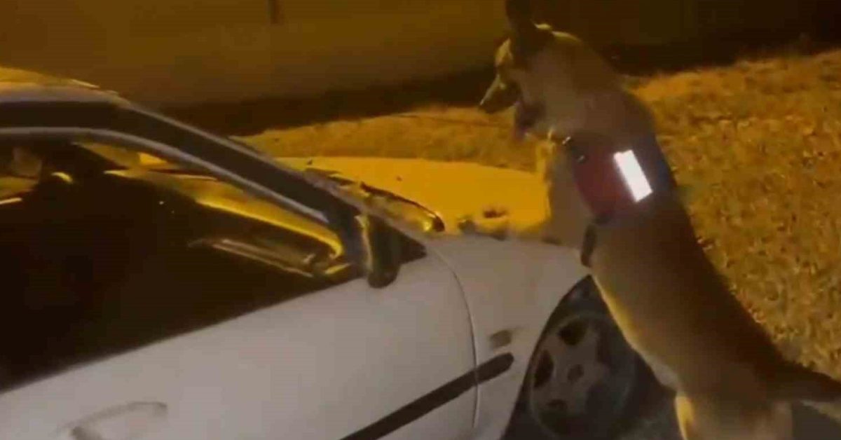 bartinda dikkat ceken uyusturucu operasyonu qbdgXBnl.jpg