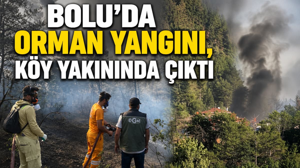 bolu orman yangın