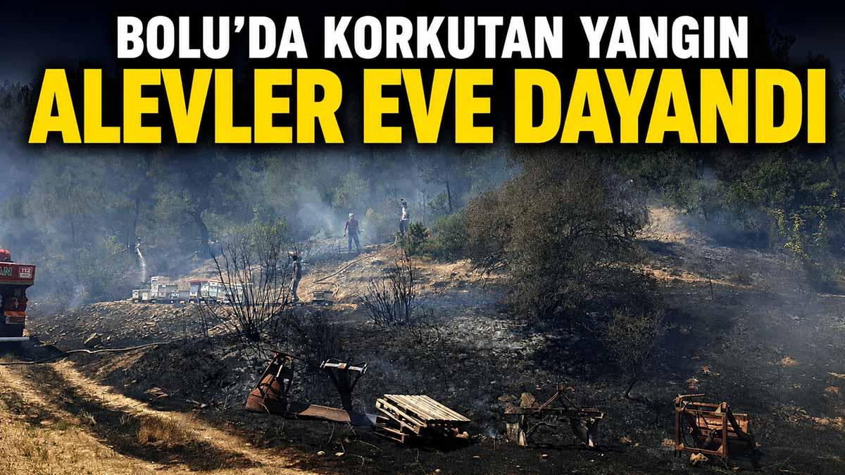 bolu yangın