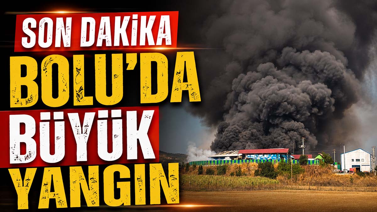 bolu yangın buyuk