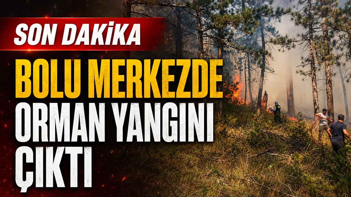 bolu yangın99