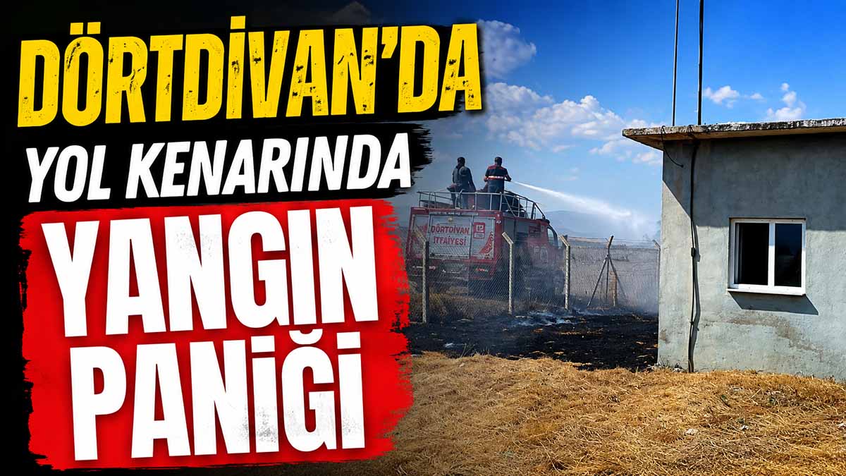dörtdivan yangın
