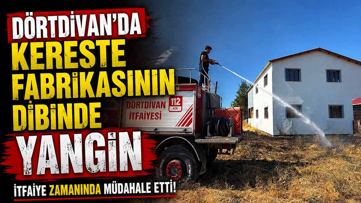 dörtdivan yangın