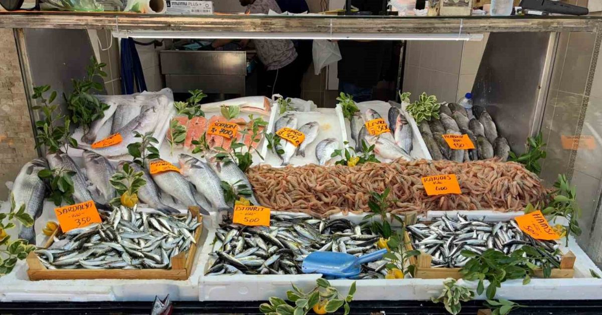 duzce akcakocada palamut bereketi taze balik tezgahlari yerini aldi rF4rIwBK.jpg