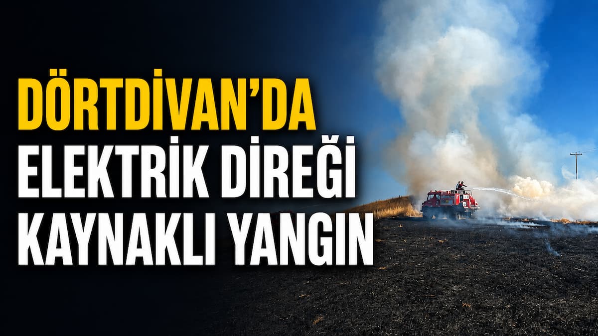 elektrik direği dörtdivan