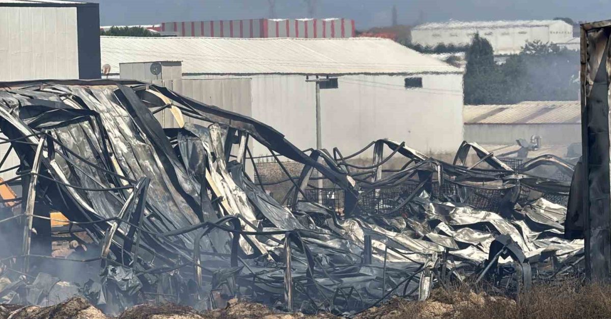 gebzede kimya fabrikasinda korkutan yangin 2 yarali 2 at telef oldu Y3FMkeqA.jpg