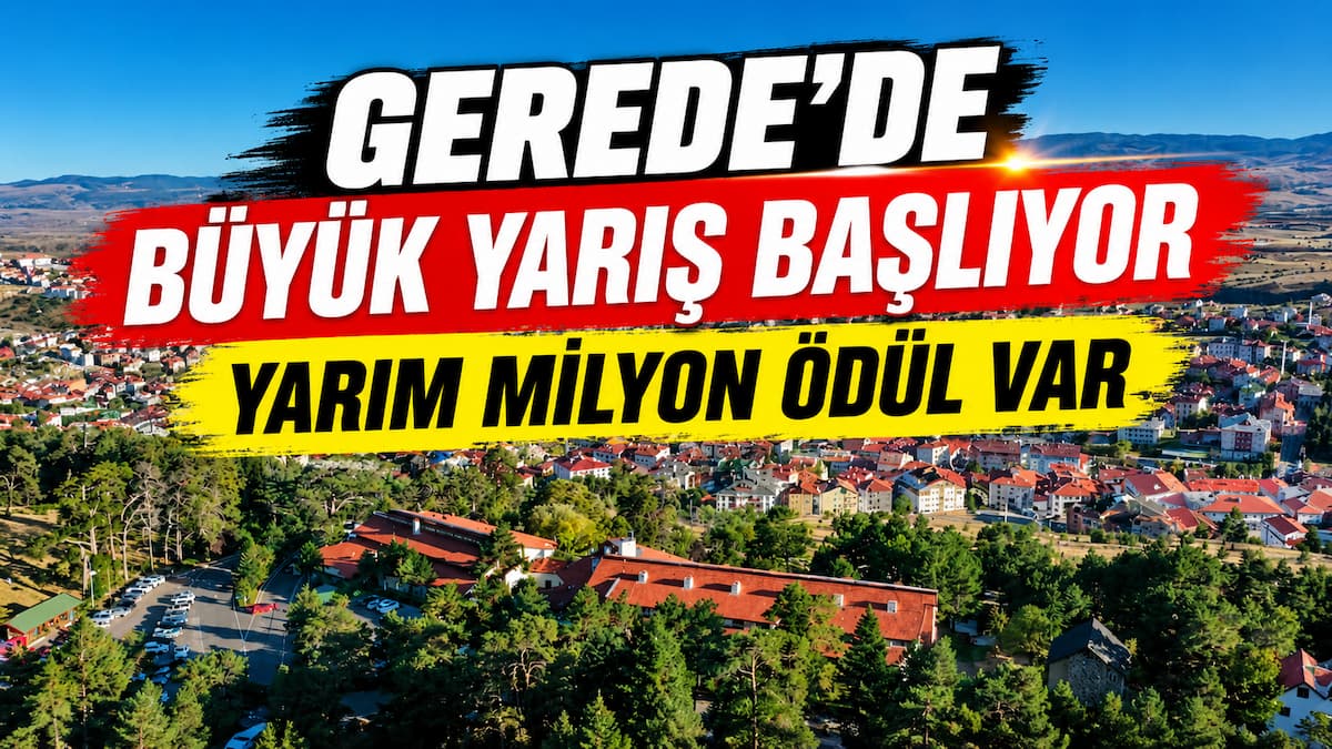 gerede at yarışı