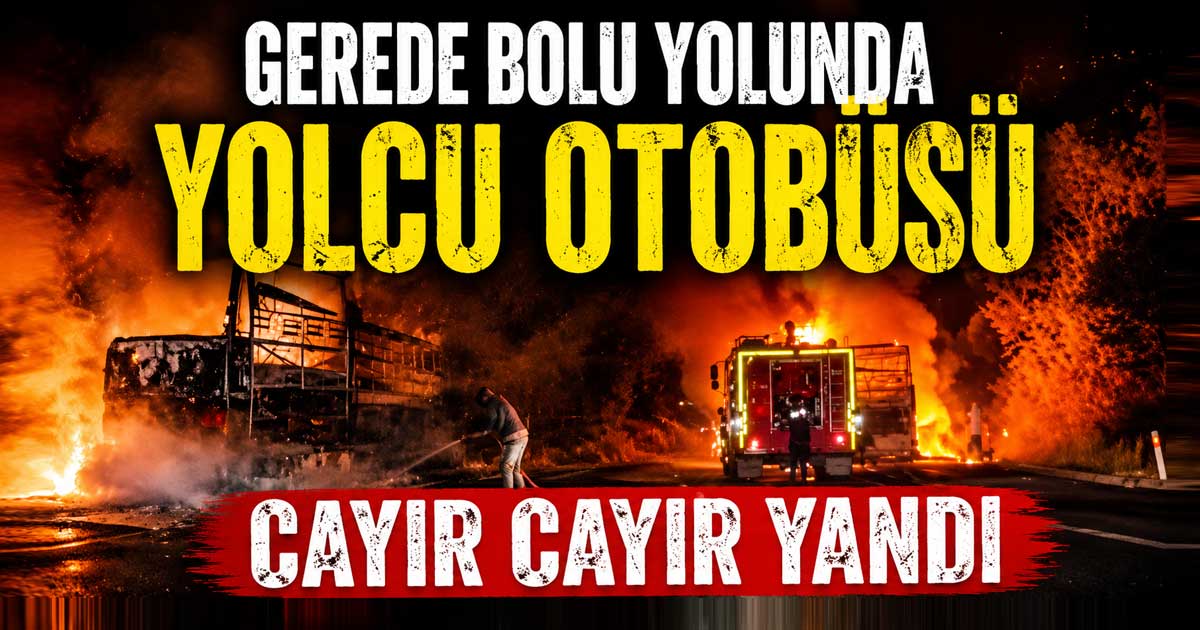 gerede bolu yolu yangın 0