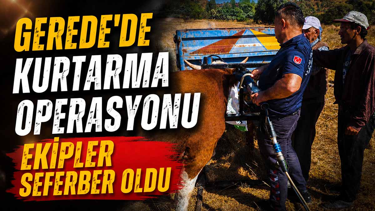gerede kurtarma op