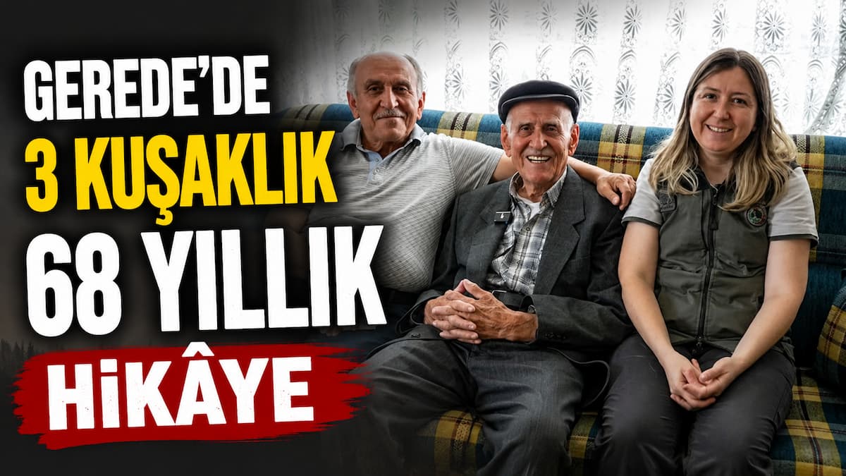 gerede orman