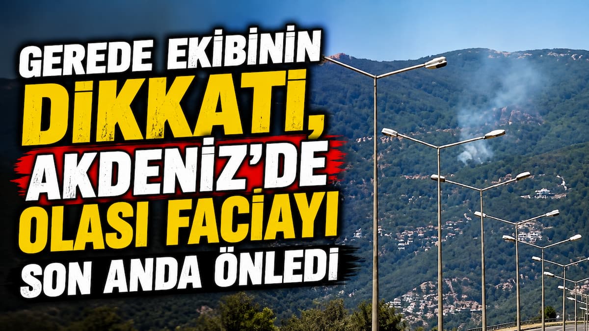 gerede orman