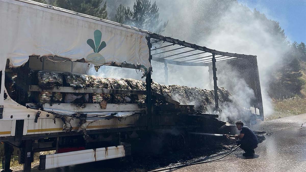 gerede yangın 8