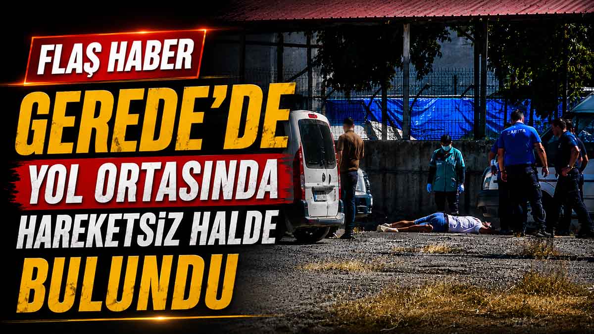gerede'de hareketsiz halde bulundu